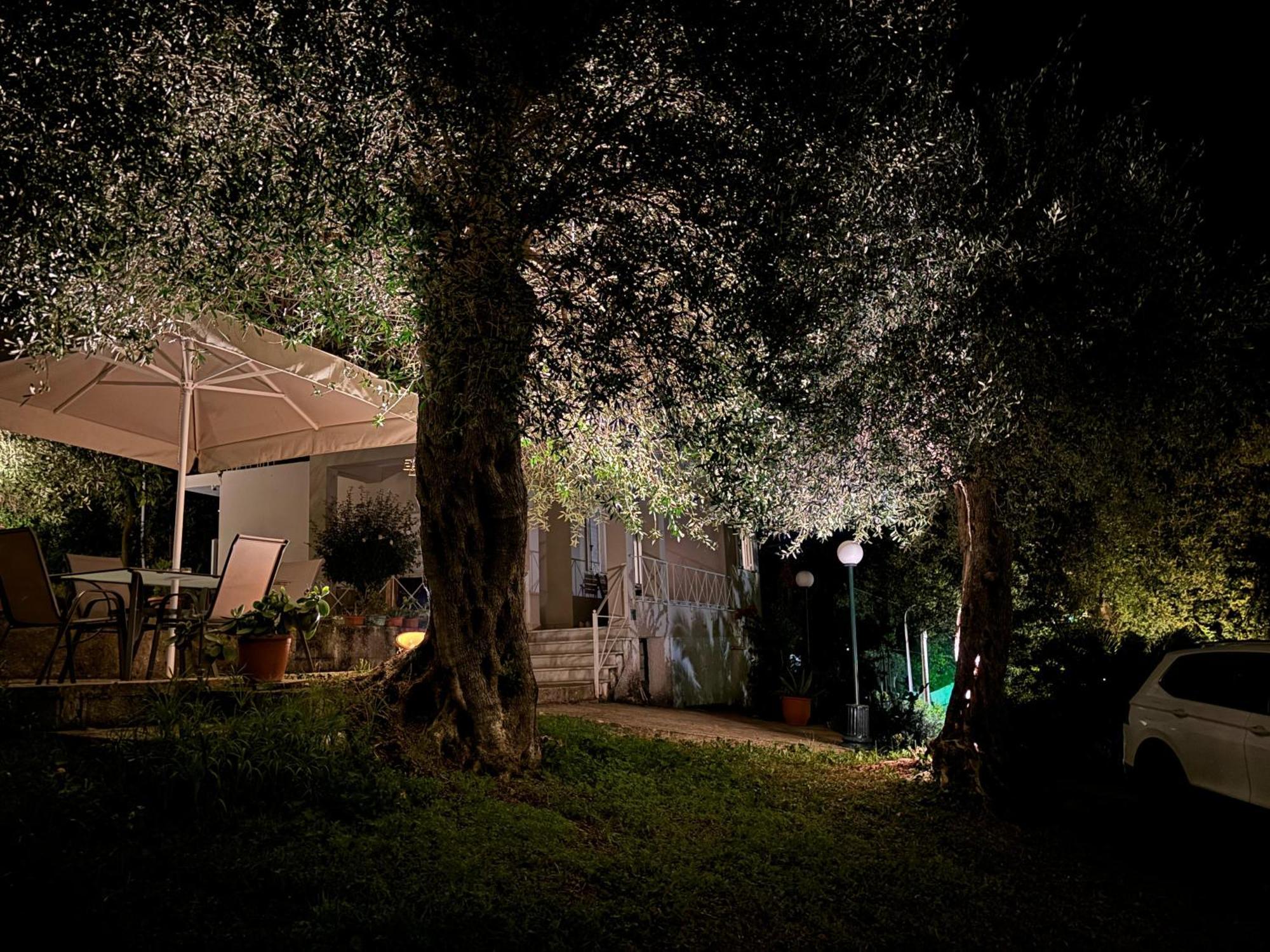 Casa Sofia Villa Dasziá Kültér fotó